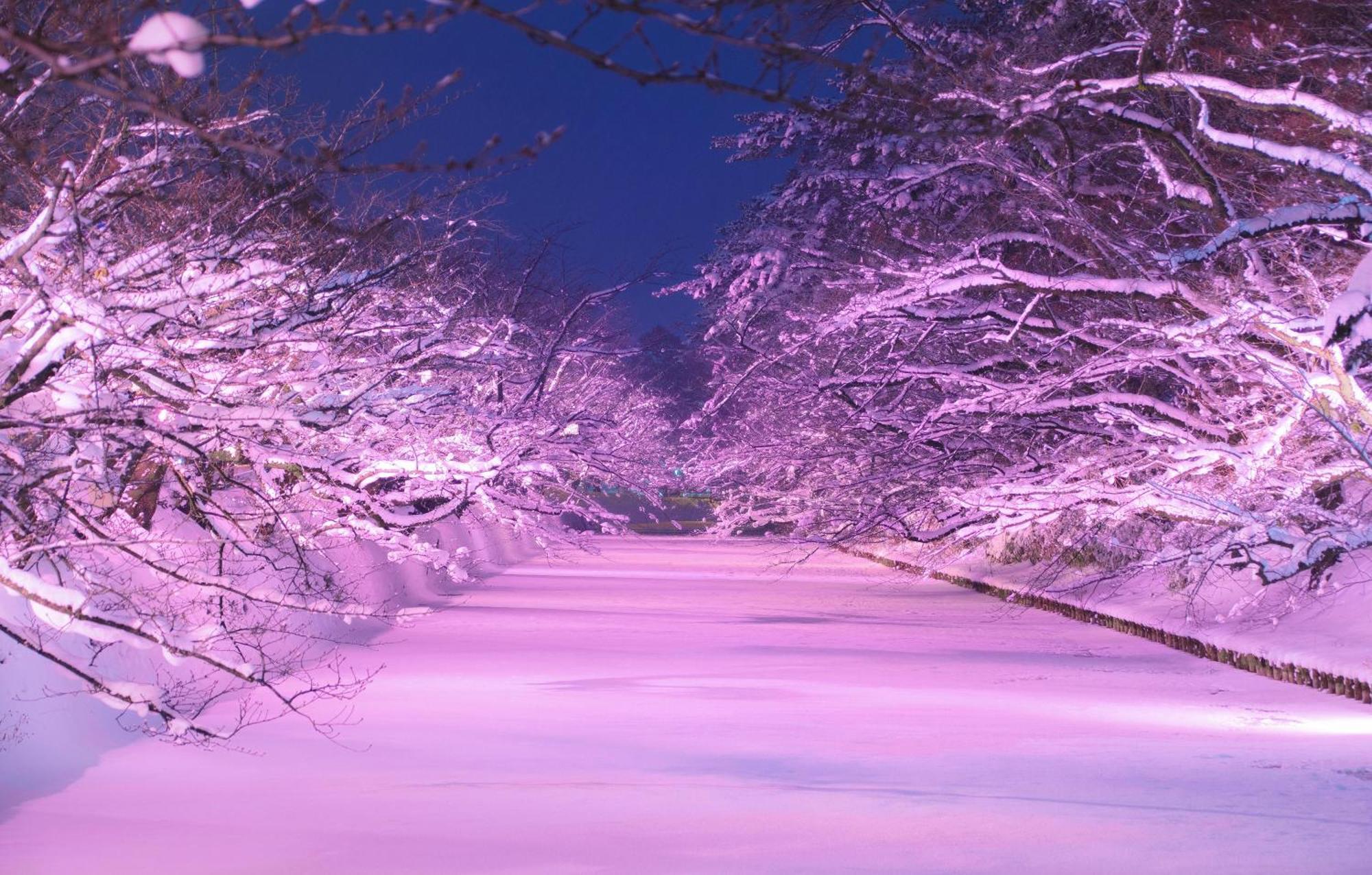 Hirosaki Park Hotel Aomori Luaran gambar